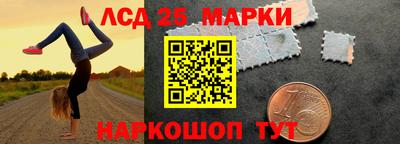 гидропоника Будённовск