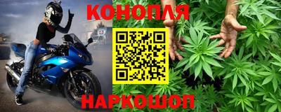 гидропоника Будённовск