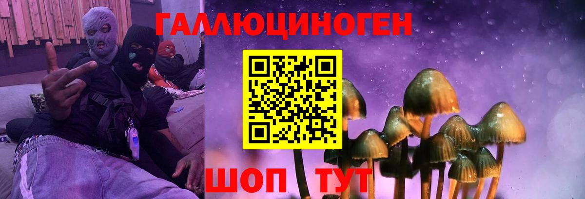 Галлюциногенные грибы мухоморы Самара