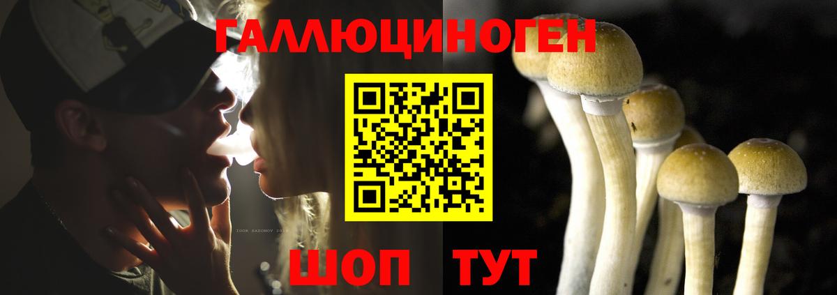 Самара  Псилоцибиновые грибы Psilocybe  Галлюциногенные грибы мицелий  Вход с VPN 